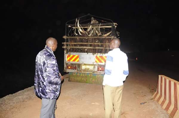 Four FUSO trucks carrying over 100 herds of cattle have been impounded by police
