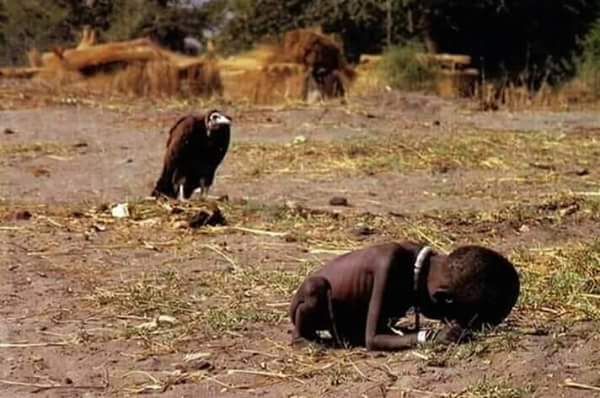 Beware of vultures in Uganda’s politics