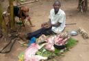 Man arrested for selling Dogs’ meat