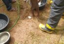 Lubowa 2-year child falls into pit latrine